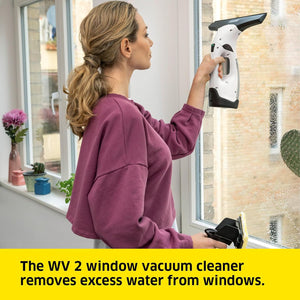 Karcher WV2PLUS Window Vacuum