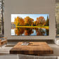 TCL 85C8L 85" SQD Mini LED 4K Smart TV